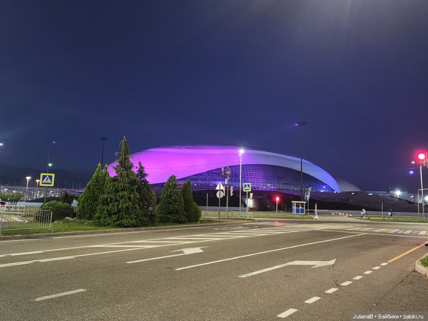 Мышь лабораторная. Сочи, Сириус