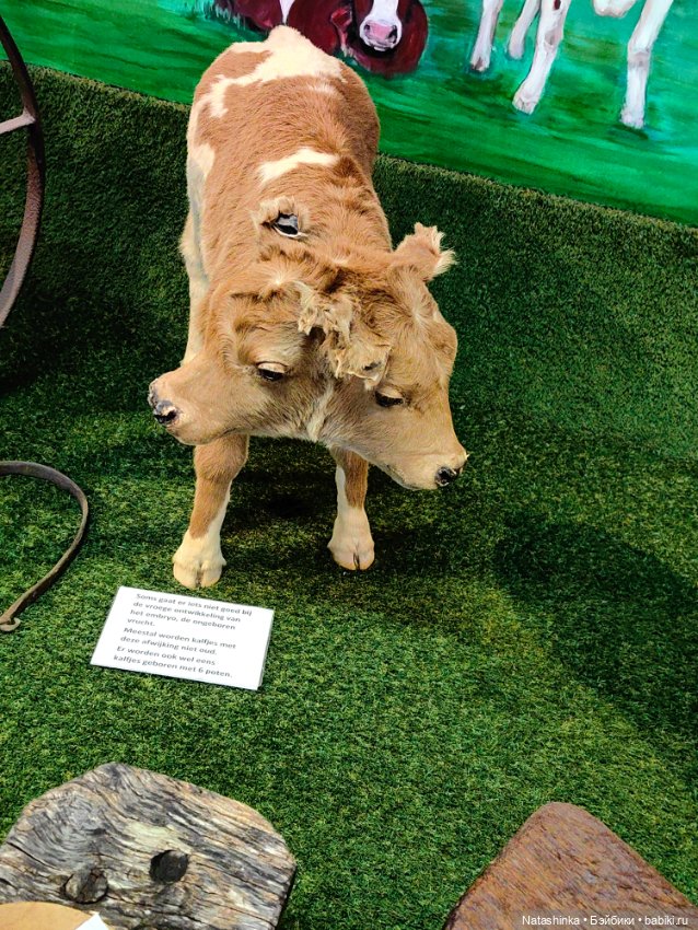 Музыкальная История 159 — Туризм и путешествия: фотоотчеты из поездок