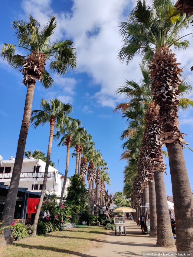 Турция, Бодрум (часть 12, заключительная)