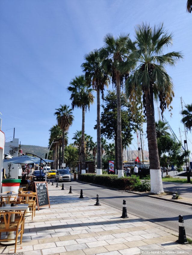 Турция, Бодрум (часть 12, заключительная) (фото 9)