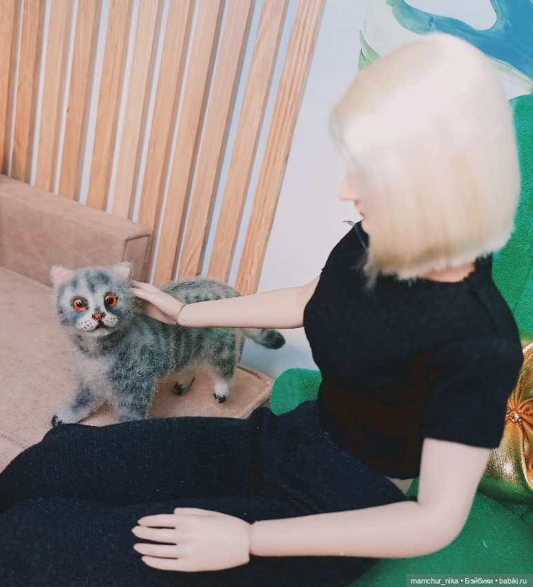 Питомец Виктории 😻 — Куклы Phicen (TBLeague/Фицен): бесшовные тела (фото 3)