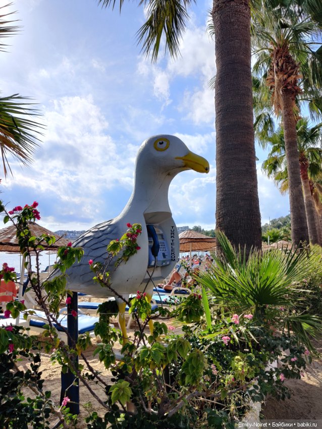 Турция, Бодрум (часть 12, заключительная)