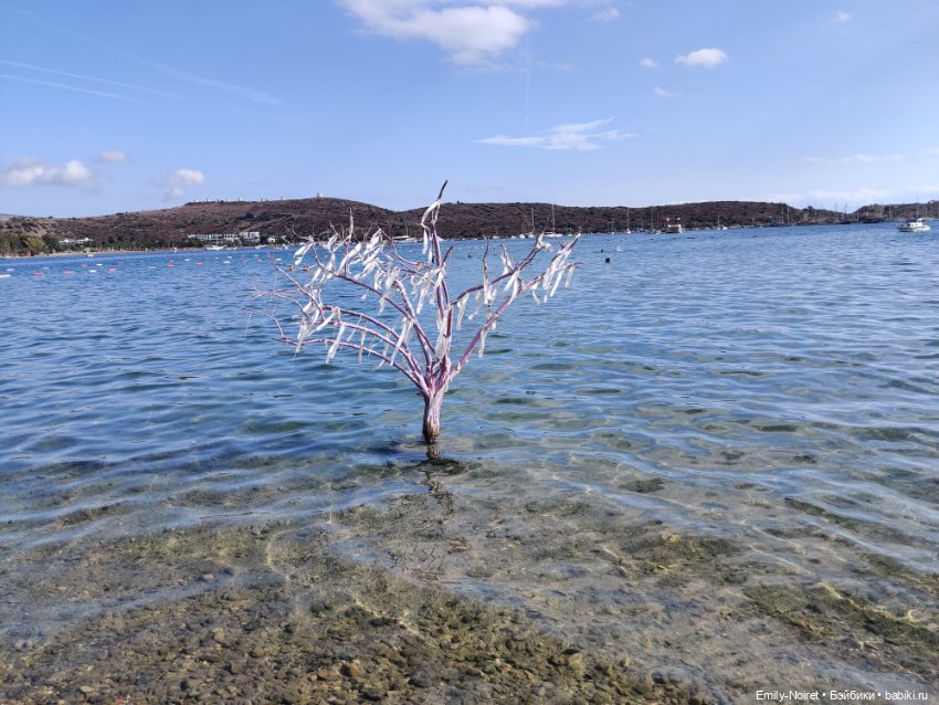 Турция, Бодрум (часть 12, заключительная)