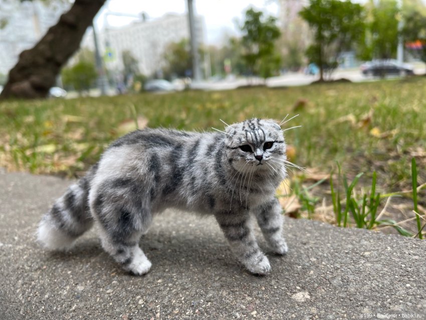 Котик — Домашние фото авторских игрушек: Тедди (фото 5)