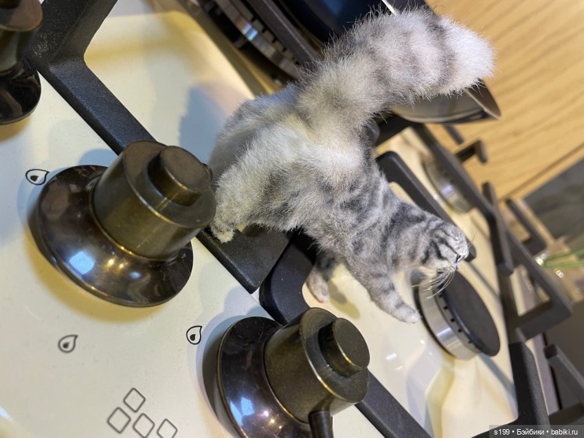 Котик — Домашние фото авторских игрушек: Тедди