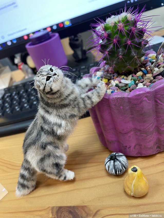 Котик — Домашние фото авторских игрушек: Тедди (фото 3)