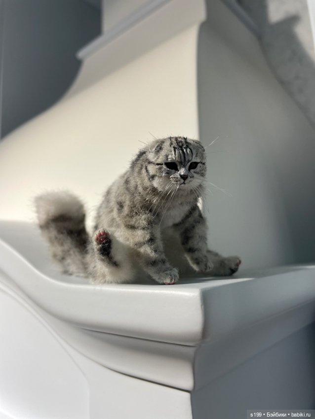 Котик — Домашние фото авторских игрушек: Тедди