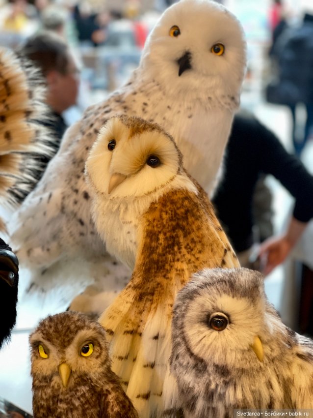 Выставка «Мишка с куклою» в Екатеринбурге Часть 1 (фото 3)