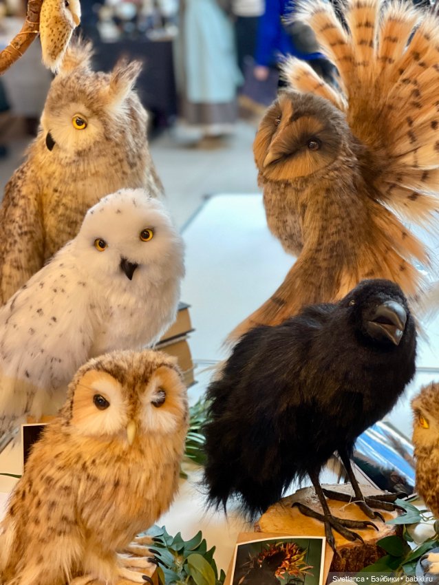 Выставка «Мишка с куклою» в Екатеринбурге Часть 1 (фото 2)