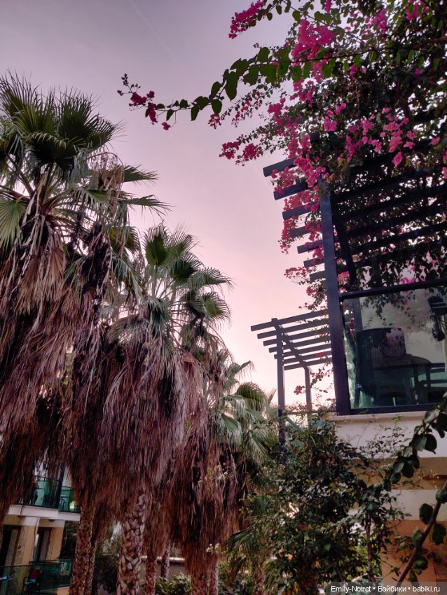 Турция, Бодрум (часть 12, заключительная)