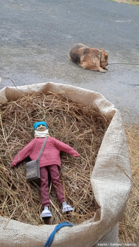 Кураж и фураж — Гибриды шарнирных кукол (не БЖД): подбор тела