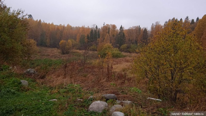 Кураж и фураж — Гибриды шарнирных кукол (не БЖД): подбор тела