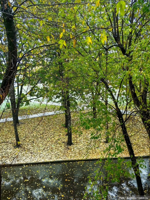 Первый снег. В моем городе вновь первый снег