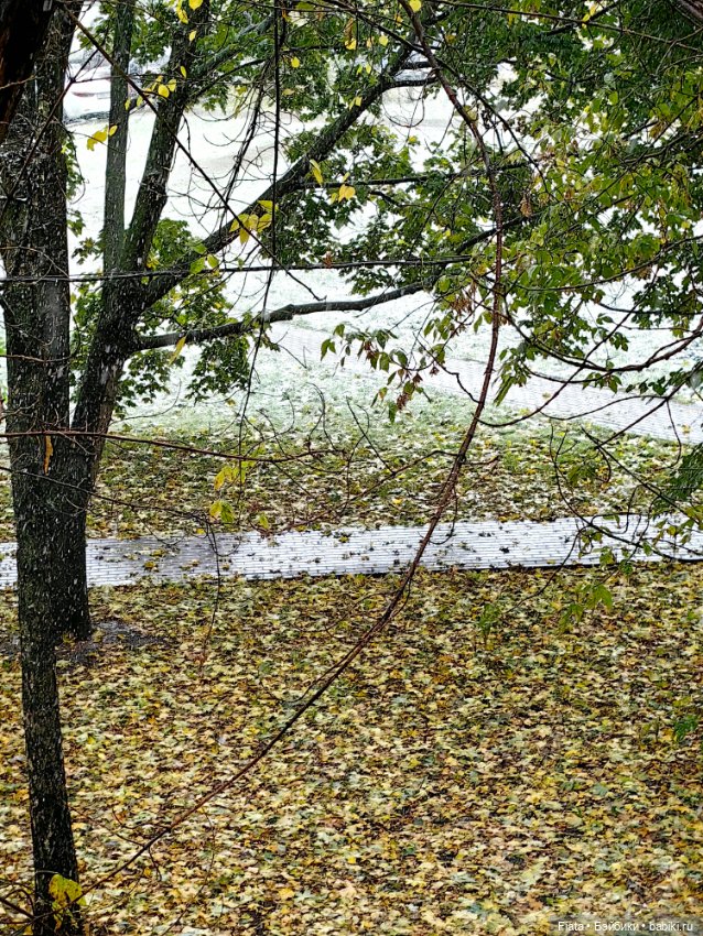 Первый снег. В моем городе вновь первый снег (фото 2)
