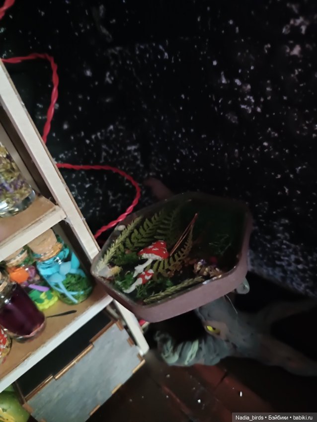 Магистр Нордленд и его кабинет (фото 5)