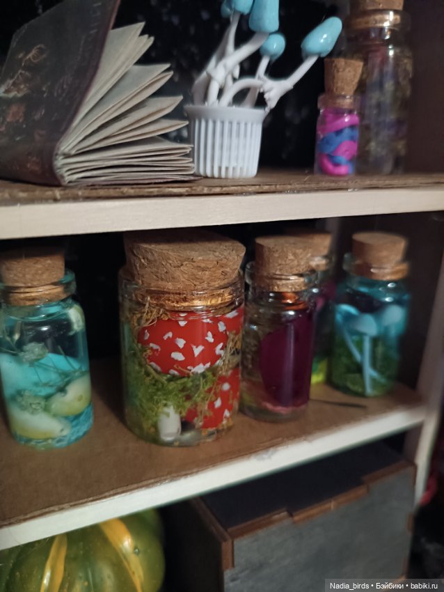 Магистр Нордленд и его кабинет (фото 6)