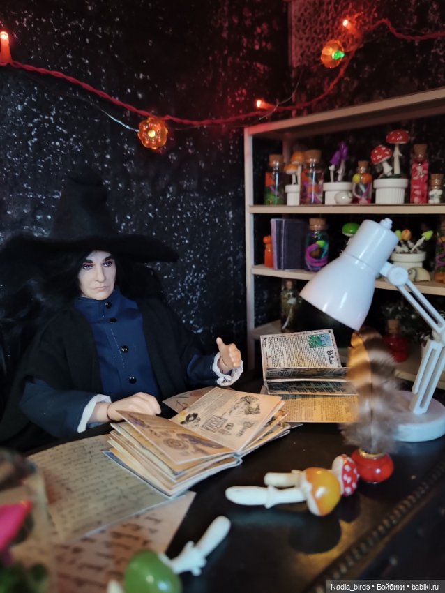 Магистр Нордленд и его кабинет