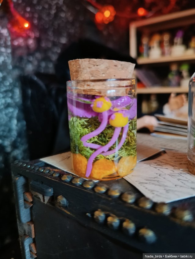 Магистр Нордленд и его кабинет (фото 8)