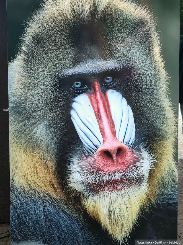 Музыкальная История 160 — Туризм и путешествия: фотоотчеты из поездок (фото 8)