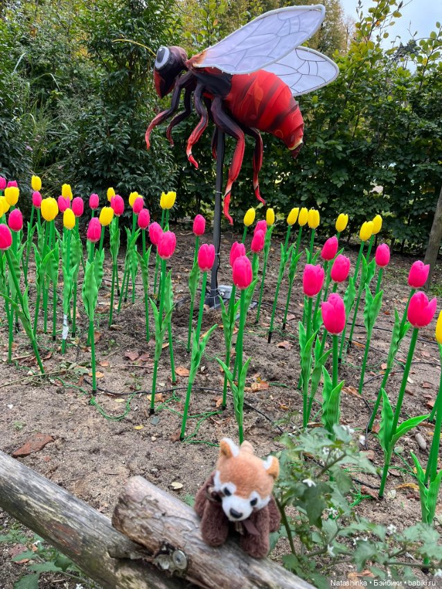 Музыкальная История 160 — Туризм и путешествия: фотоотчеты из поездок (фото 4)