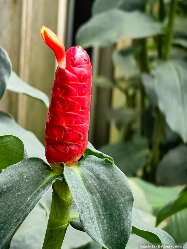 Музыкальная История 160 — Туризм и путешествия: фотоотчеты из поездок (фото 7)