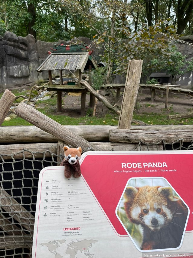 Музыкальная История 160 — Туризм и путешествия: фотоотчеты из поездок (фото 6)