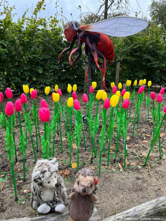 Музыкальная История 160 — Туризм и путешествия: фотоотчеты из поездок (фото 3)