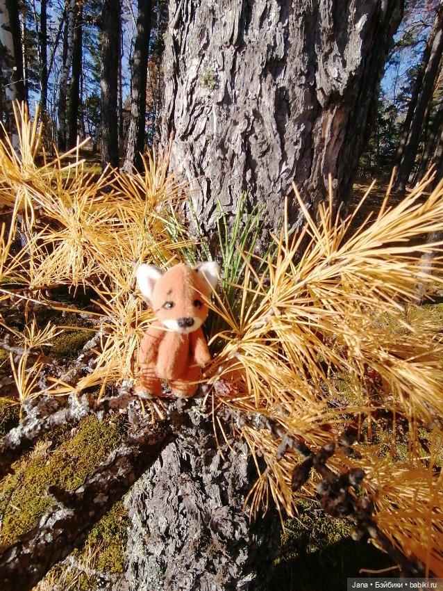 Кнопочка и Гномик — Домашние фото авторских кукол: личные коллекции