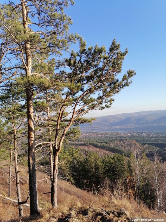 Кнопочка и Гномик — Домашние фото авторских кукол: личные коллекции (фото 8)