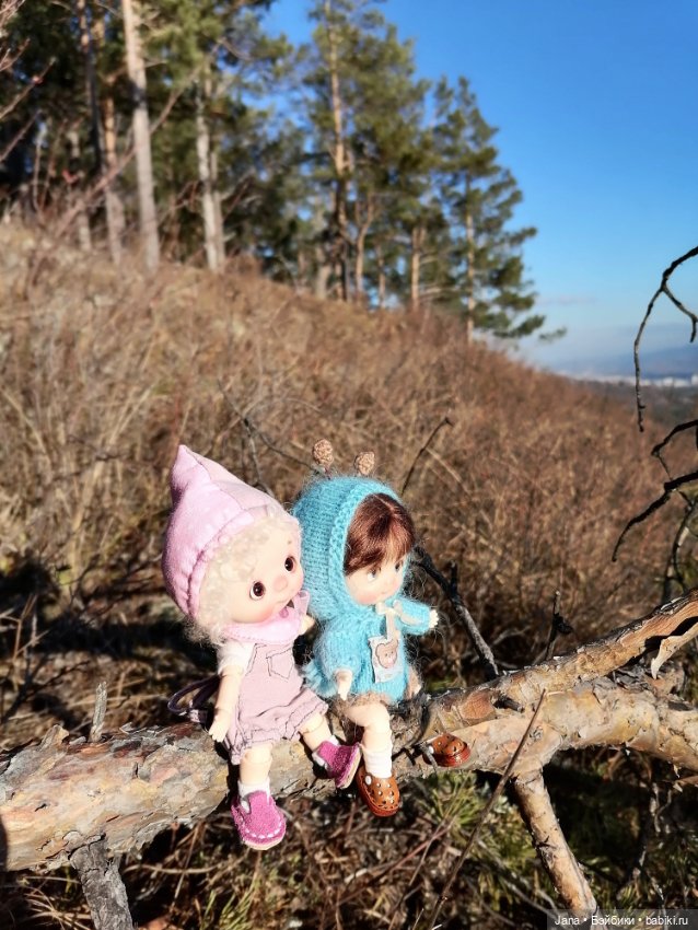 Кнопочка и Гномик — Домашние фото авторских кукол: личные коллекции (фото 6)