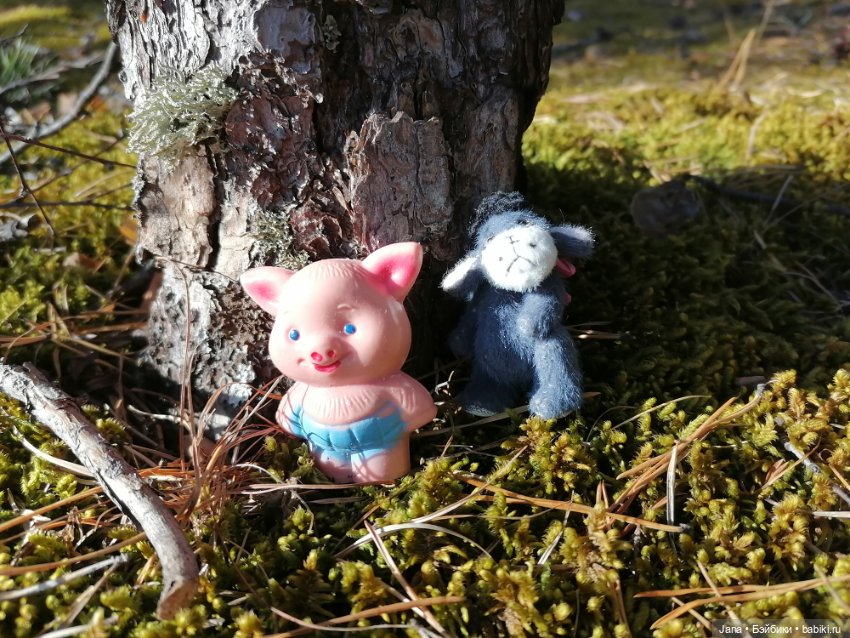 Кнопочка и Гномик — Домашние фото авторских кукол: личные коллекции (фото 10)