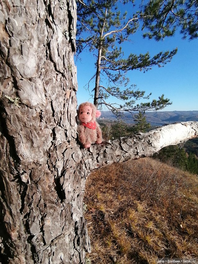 Кнопочка и Гномик — Домашние фото авторских кукол: личные коллекции