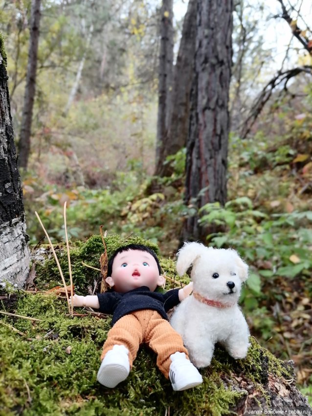 Юрочка - отважный путешественник (фото 9)