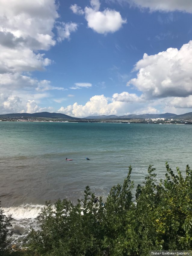 HacoHaco от QLYwork — Коллекционные куклы разных авторов (Разное): редкие бренды