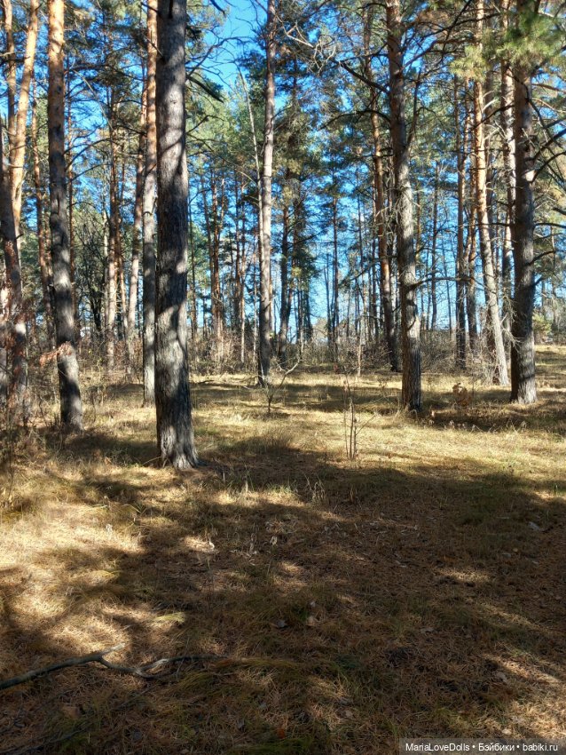 Мои золОтенькие😄 — Куклы Ruby Red (Руби Ред) Fashion Friends: Siblies (фото 4)