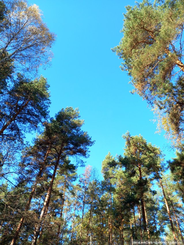 Мои золОтенькие😄 — Куклы Ruby Red (Руби Ред) Fashion Friends: Siblies