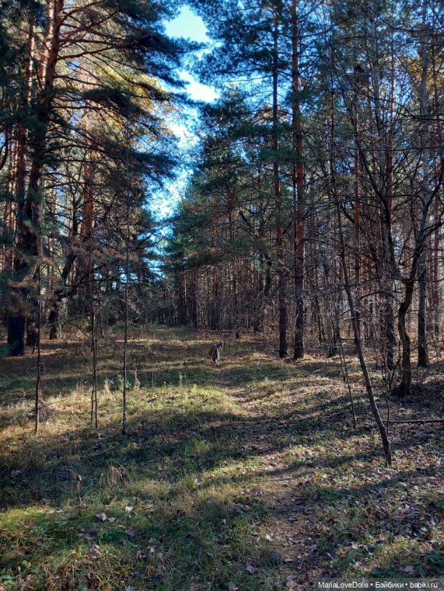 Мои золОтенькие😄 — Куклы Ruby Red (Руби Ред) Fashion Friends: Siblies (фото 3)