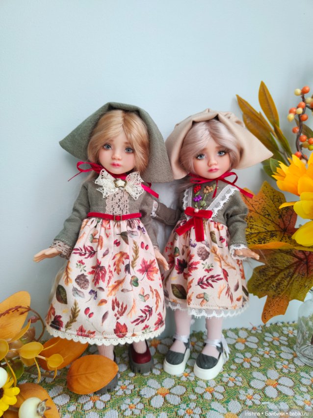 Осенние Esha(ы) — Разные куклы BJD (БЖД): редкие бренды (фото 3)