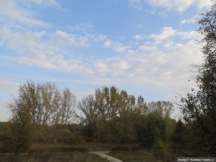 Стелла Ruby Red Siblies — Куклы Ruby Red (Руби Ред) Fashion Friends: Siblies (фото 3)