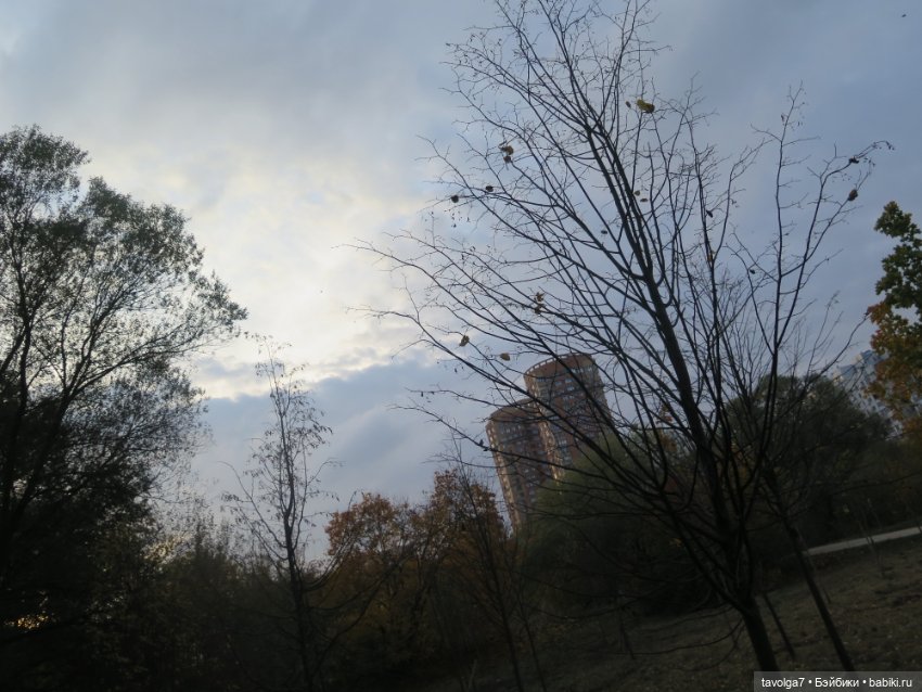 Стелла Ruby Red Siblies — Куклы Ruby Red (Руби Ред) Fashion Friends: Siblies