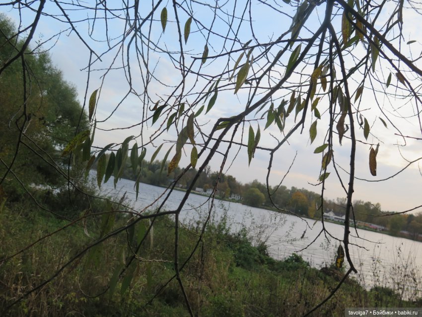 Стелла Ruby Red Siblies — Куклы Ruby Red (Руби Ред) Fashion Friends: Siblies