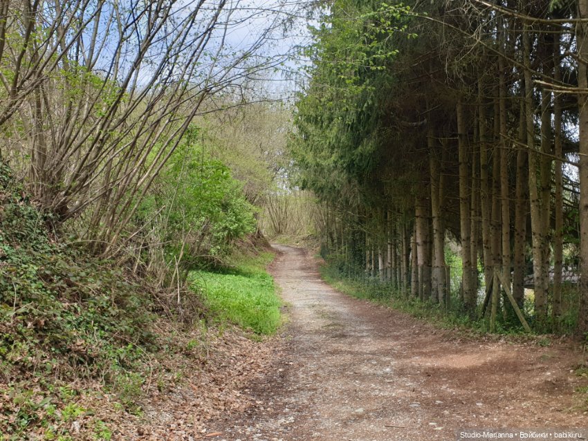 Подарок — Игровые куклы Zwergnase (Цвергназе) Junior: Джуниор