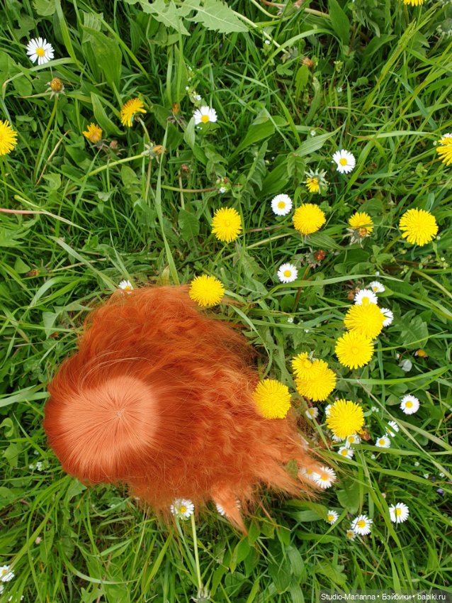 Подарок — Игровые куклы Zwergnase (Цвергназе) Junior: Джуниор