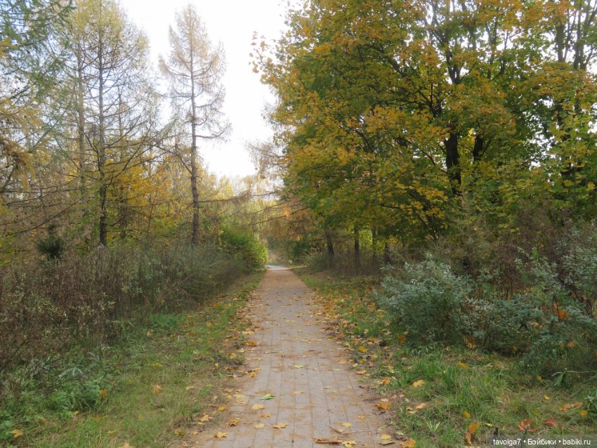 Cappuccino Кролик и компания в осени (фото 3)