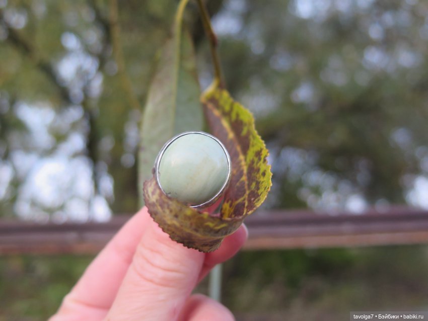 Cappuccino Кролик и компания в осени