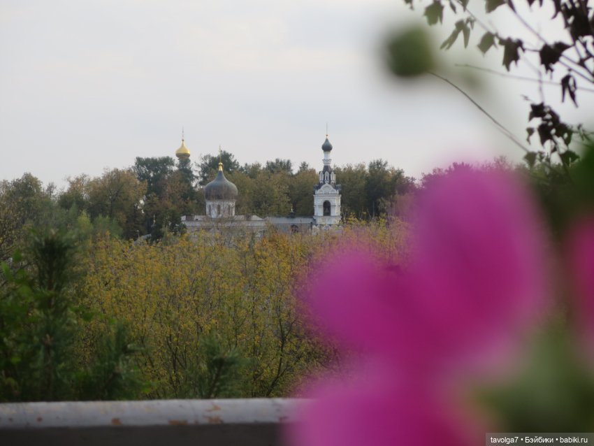 Cappuccino Кролик и компания в осени