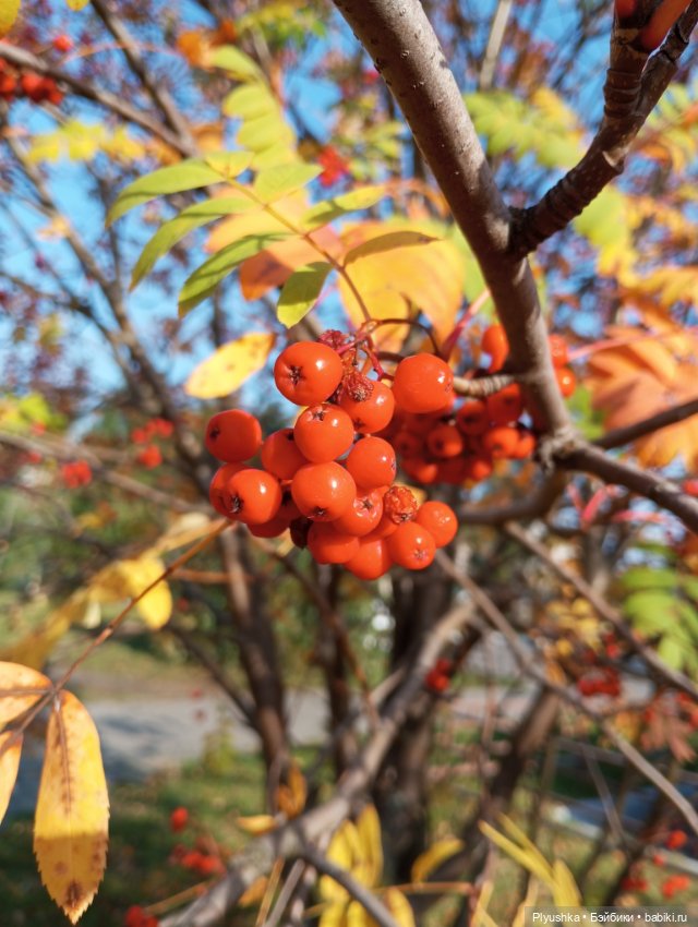 Солнечный осенний денёк 🍁 🍂