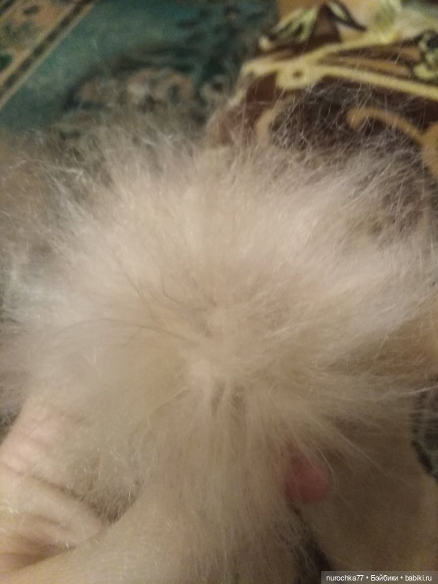 Козье мытарство — Кукольная мастерская: ремонт (фото 9)