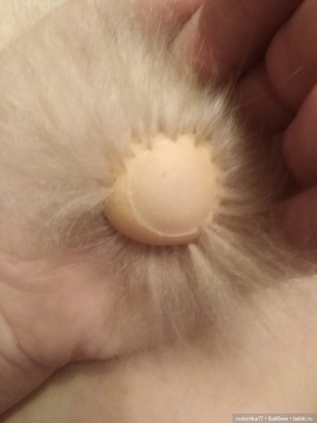 Козье мытарство — Кукольная мастерская: ремонт (фото 8)