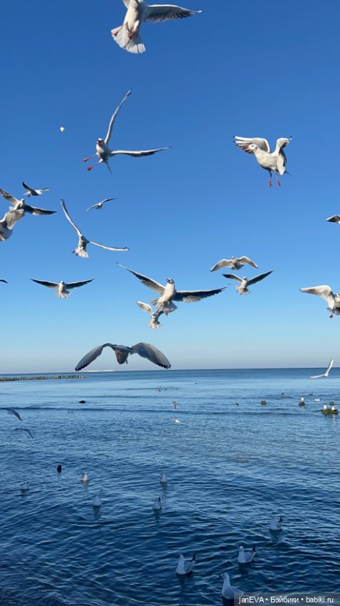 Заяц-Лиса путешествует… — Куклы и тела UFdoll (ЮФдолл): Blind Box